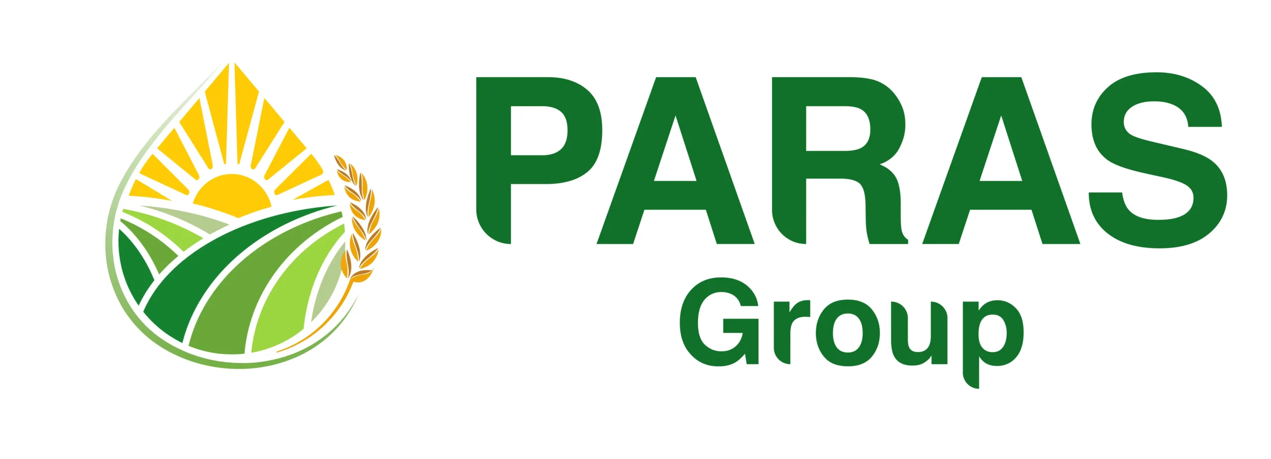 Paras Group